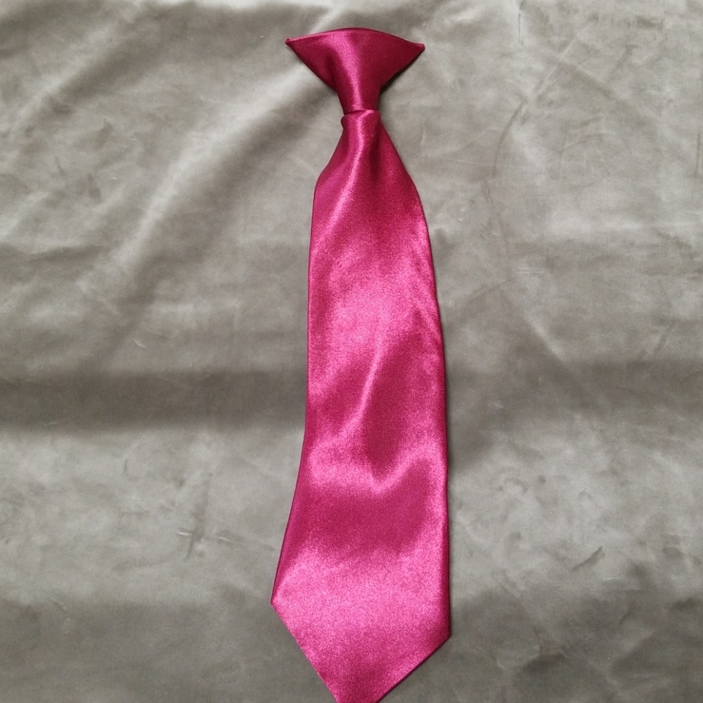 Nwot clip on tie